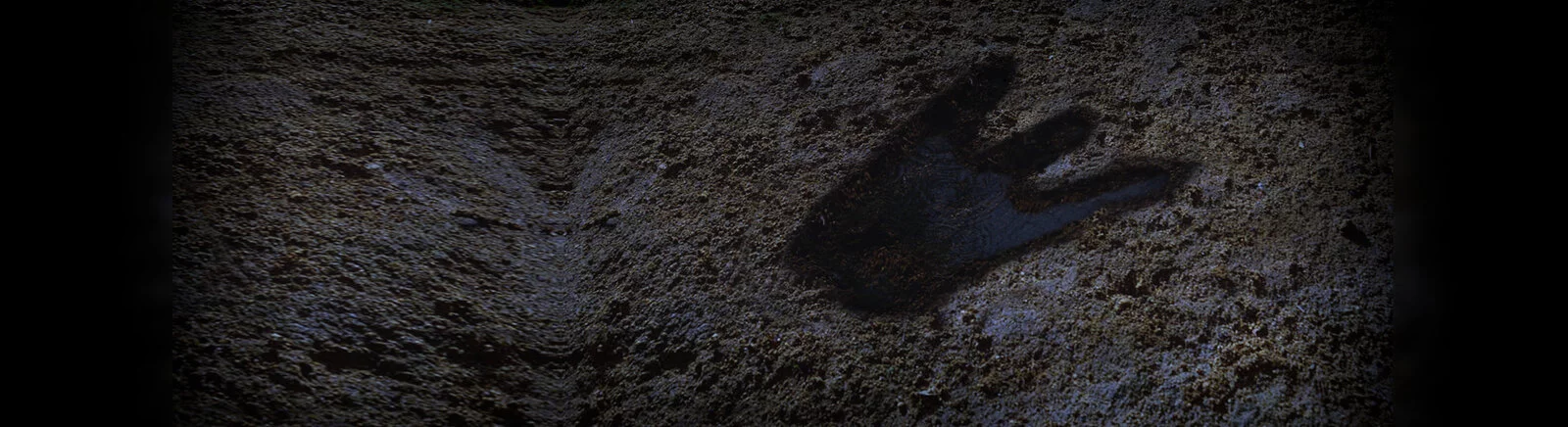 Beli Close Combat (Close Combat: Prenez le commandement de véritables soldats) murah, diskon hingga 90% 🏷️, perbandingan harga di berbagai toko