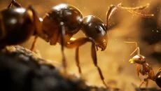 Empire of the Ants (2000) - permainan dalam genre Permainan edukatif (Pendidikan)