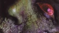 Fear - permainan dalam genre Film interaktif