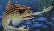 Fish - tanggal rilis untuk Atari ST