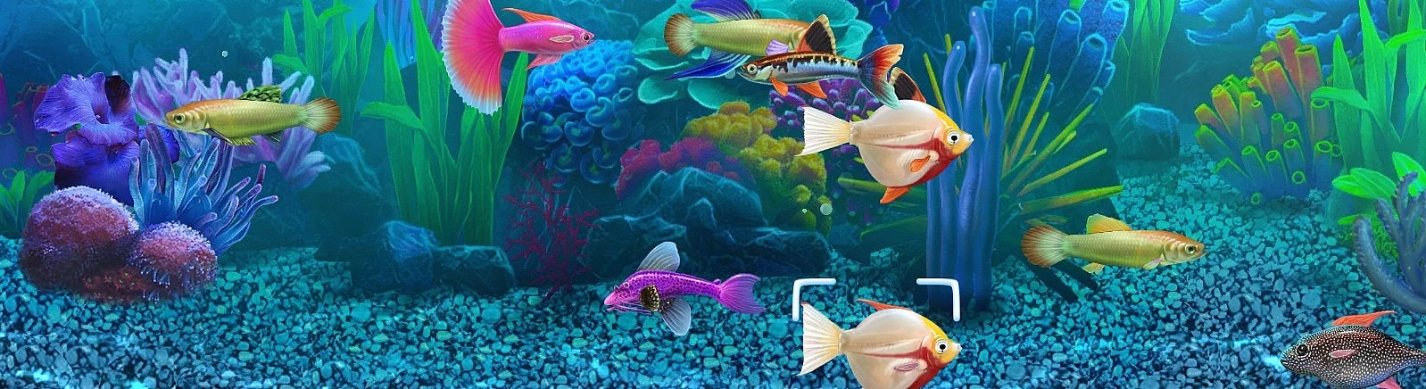 Beli Fish Tycoon murah, diskon hingga 90% 🏷️, perbandingan harga di berbagai toko Beli Fish Tycoon murah, diskon hingga 90% 🏷️, perbandingan harga di berbagai toko