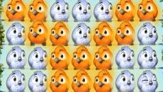Fluffy Birds - tanggal rilis untuk iPhone