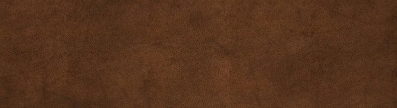 Gold Rush! — Трейнер / Trainer (+3) [1.4.3.9250] [MrAntiFun] / Pelatih / Cheat