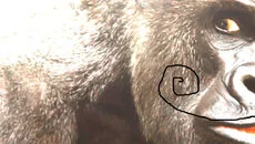 Monkey Business (1986) - permainan dalam genre Permainan edukatif (Pendidikan)