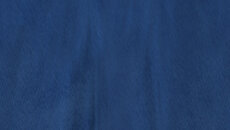 Napoleon - permainan dalam genre Bergiliran