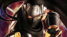 Ninja Gaiden (2004) - permainan dalam genre Bertarung