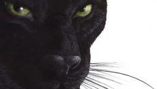 Overclocked. Оправданная жестокость mirip dengan Overclocked. Оправданная жестокость