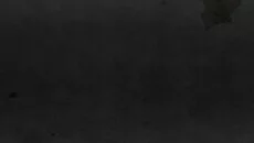 Sam & Max 302: The Tomb of Sammun-Mak - permainan dalam genre Petualangan