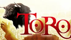 Toro - permainan dalam genre Pandangan dari atas