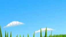 Tumblebugs - permainan dalam genre Sudut pandang orang ketiga