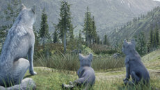 Wilderness: A Survival Adventure - permainan dalam genre Simulator