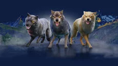 Wolf - permainan dalam genre Dalam waktu nyata