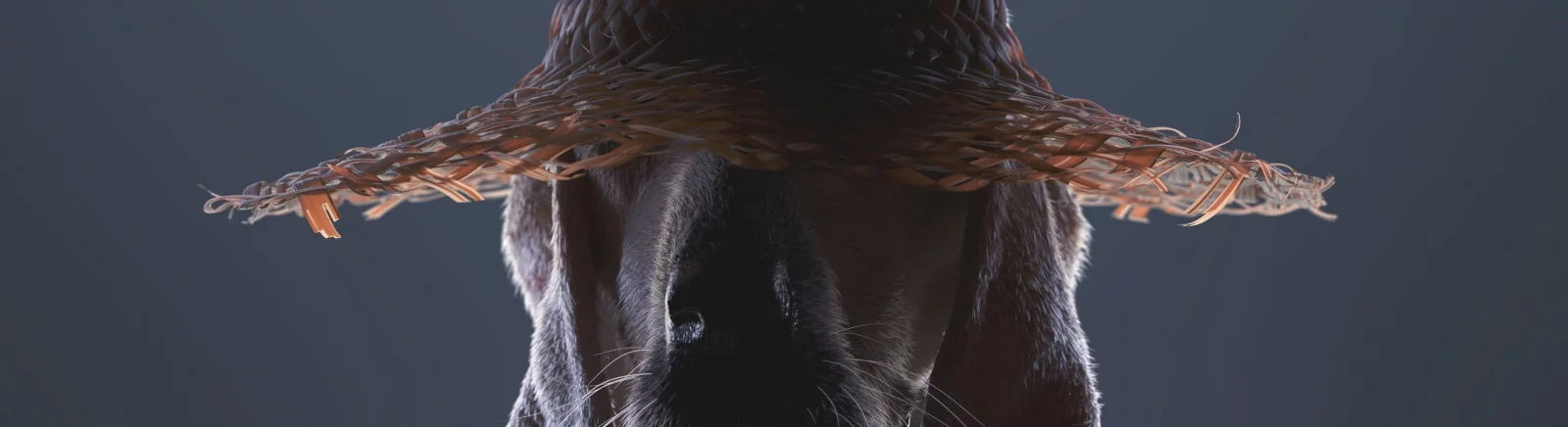 Kentucky Route Zero — Таблица для Cheat Engine [UPD: 14.03.2022] / Tabel / Cheat