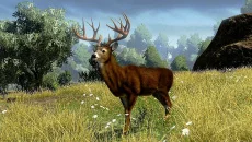 Cabela's Outdoor Adventures - permainan dalam genre Pandangan dari orang pertama
