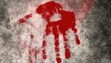 How to Survive 2 mirip dengan How to Survive 2