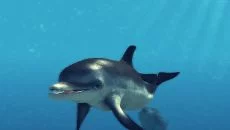 Depth Hunter 2: Deep Dive - permainan dalam genre Simulator