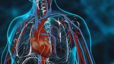 Bio Inc. - permainan dalam genre Simulator