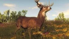 theHunter Classic