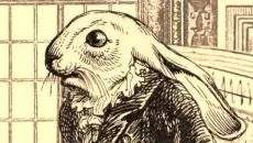 Aviary Attorney - permainan dalam genre Teka-teki