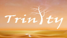 Trinity: Souls of Zill O'll - permainan dalam genre Slasher