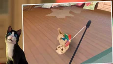 Cat Hotel - permainan dalam genre Bisnis / manajemen