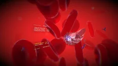 VEV: Viva Ex Vivo - permainan dalam genre Simulator