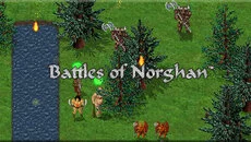 Battles of Norghan - permainan dalam genre Bergiliran