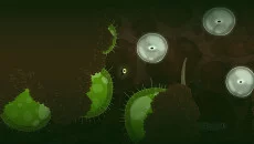 Ecotone - permainan dalam genre Arkade
