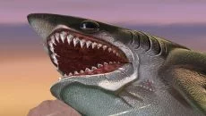 Hungry Shark World - permainan dalam genre Permainan gratis