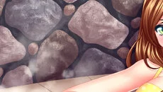 Summer Fling - permainan dalam genre Simulator