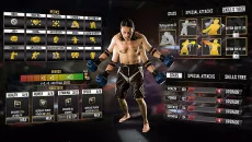 Boxing Combat - permainan dalam genre Bertarung