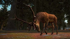 Yore VR - permainan dalam genre Realitas virtual (VR)