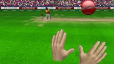 New Star Cricket - permainan dalam genre Kriket