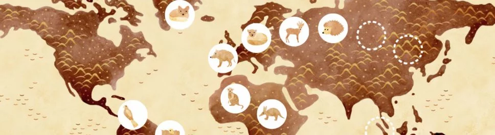 Tanggal rilis Under Leaves di berbagai negara di dunia