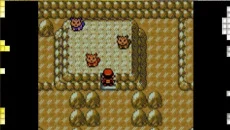 Pokemon Gold and Silver - permainan dalam genre Permainan peran