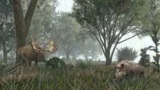 Life is Feudal: Forest Village