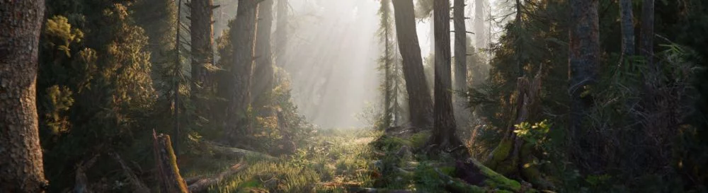 Beli Book of the Dead murah, diskon hingga 90% 🏷️, perbandingan harga di berbagai toko