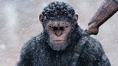 Apex Construct mirip dengan Apex Construct