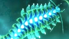 Sparkle 3 Genesis - permainan dalam genre Arkade