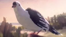 11-11: Memories Retold