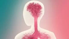 Bridge Constructor Portal mirip dengan Bridge Constructor Portal