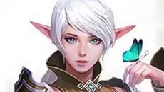 Lineage 2: Arena - permainan dalam genre MMO