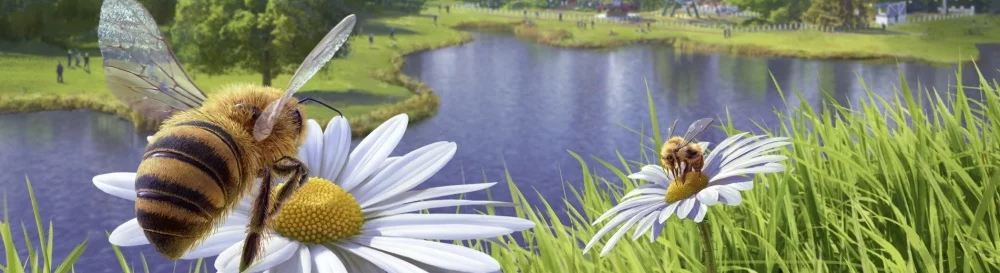 Tanggal rilis Bee Simulator di berbagai negara di dunia