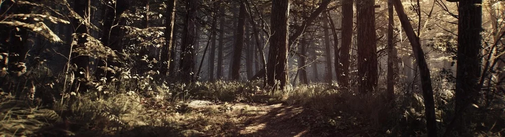 Artikel Blair Witch - ulasan, pratinjau, pendapat