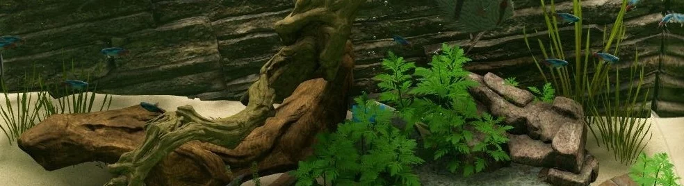 Tanggal rilis Biotope di berbagai negara di dunia