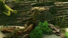 Biotope - permainan dalam genre Simulator