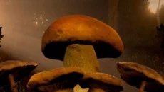 Mushrooms: Forest Walker - permainan dalam genre Petualangan