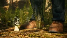 theHunter mirip dengan theHunter