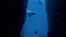 Penumbra: Overture - Episode 1 mirip dengan Penumbra: Overture - Episode 1