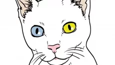 Play With Gilbert - A Small Tail mirip dengan Play With Gilbert - A Small Tail